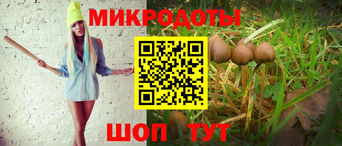 Галлюциногенные грибы мухоморы Бердск