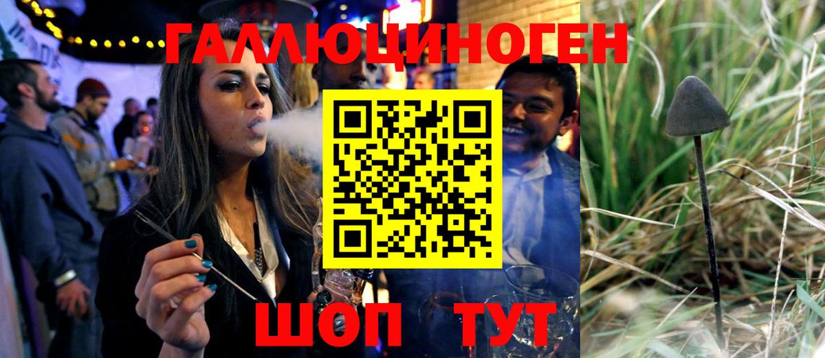 Бердск  Галлюциногенные грибы MAGIC MUSHROOMS  Галлюциногенные грибы мухоморы  Вход с VPN 
